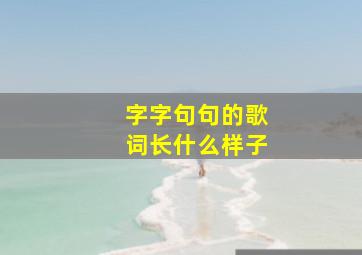 字字句句的歌词长什么样子