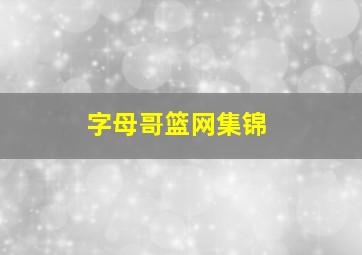 字母哥篮网集锦