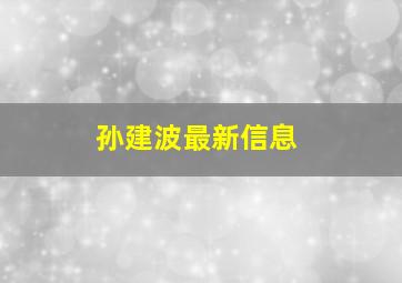 孙建波最新信息