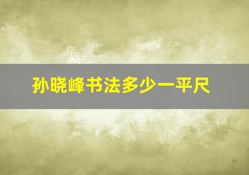 孙晓峰书法多少一平尺