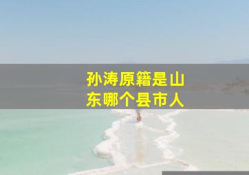 孙涛原籍是山东哪个县市人