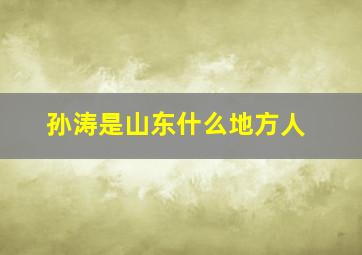 孙涛是山东什么地方人