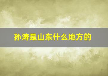 孙涛是山东什么地方的