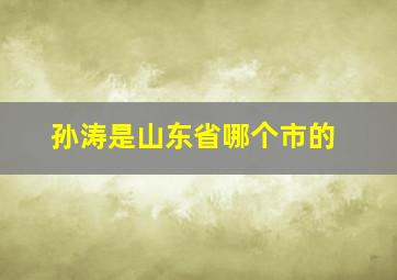 孙涛是山东省哪个市的