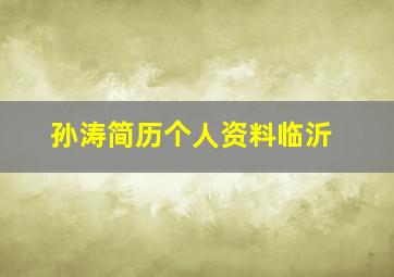 孙涛简历个人资料临沂