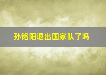 孙铭阳退出国家队了吗