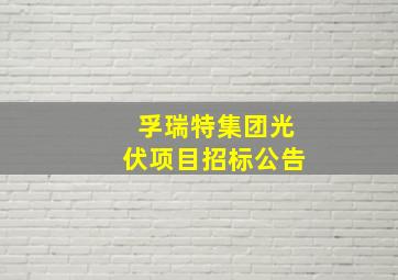 孚瑞特集团光伏项目招标公告