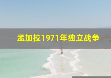 孟加拉1971年独立战争