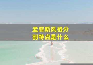 孟菲斯风格分割特点是什么