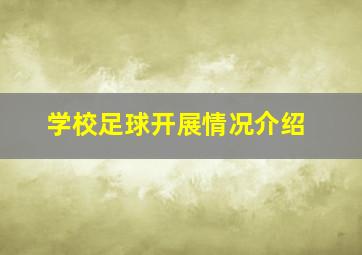 学校足球开展情况介绍