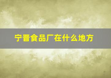 宁晋食品厂在什么地方