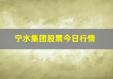 宁水集团股票今日行情