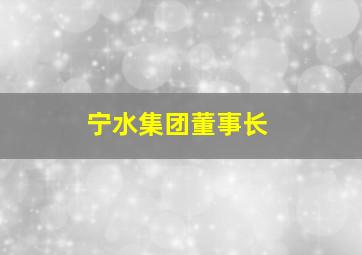 宁水集团董事长