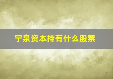 宁泉资本持有什么股票