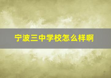 宁波三中学校怎么样啊