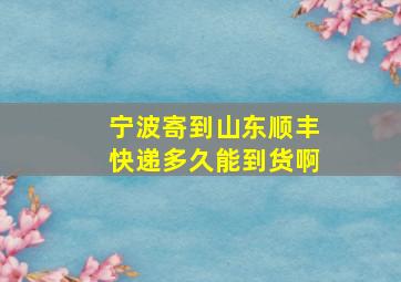 宁波寄到山东顺丰快递多久能到货啊