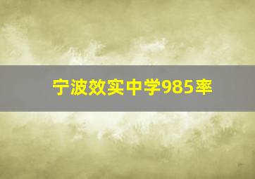 宁波效实中学985率