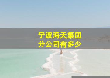 宁波海天集团分公司有多少