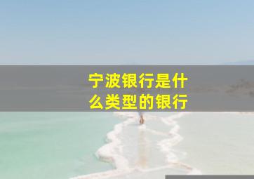 宁波银行是什么类型的银行