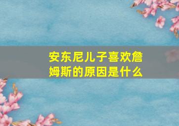 安东尼儿子喜欢詹姆斯的原因是什么