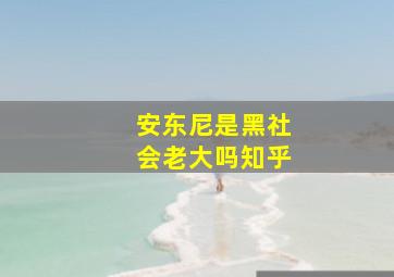 安东尼是黑社会老大吗知乎