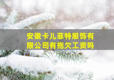 安徽卡儿菲特服饰有限公司有拖欠工资吗