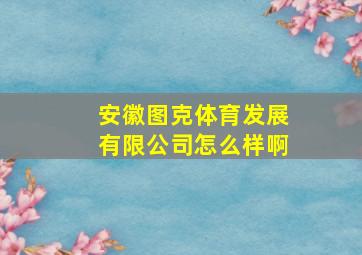 安徽图克体育发展有限公司怎么样啊