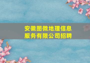 安徽图微地理信息服务有限公司招聘