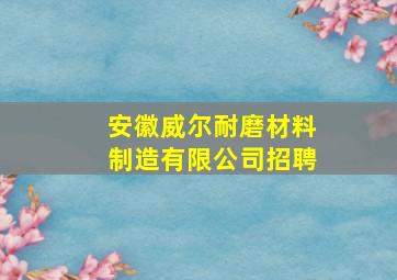 安徽威尔耐磨材料制造有限公司招聘