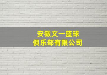 安徽文一篮球俱乐部有限公司