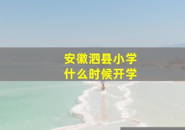 安徽泗县小学什么时候开学