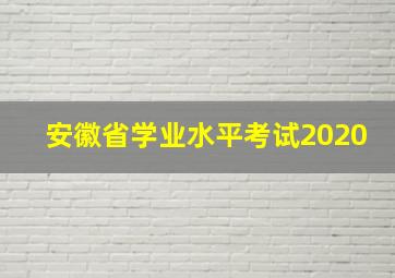 安徽省学业水平考试2020