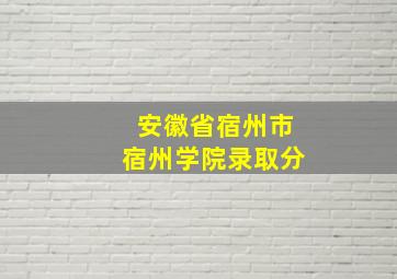 安徽省宿州市宿州学院录取分