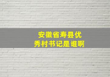 安徽省寿县优秀村书记是谁啊