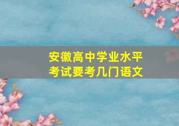 安徽高中学业水平考试要考几门语文