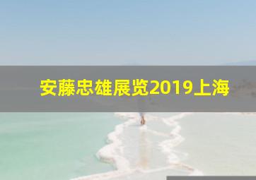 安藤忠雄展览2019上海