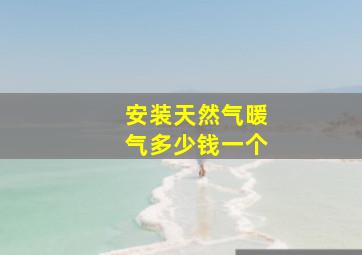 安装天然气暖气多少钱一个