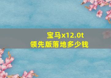 宝马x12.0t领先版落地多少钱