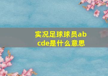 实况足球球员abcde是什么意思