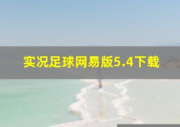 实况足球网易版5.4下载