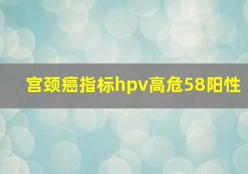 宫颈癌指标hpv高危58阳性