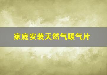 家庭安装天然气暖气片