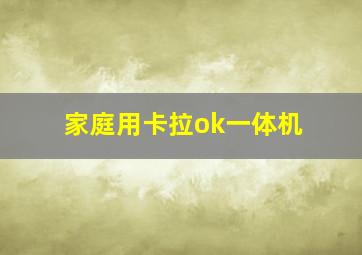 家庭用卡拉ok一体机