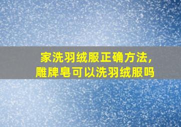 家洗羽绒服正确方法,雕牌皂可以洗羽绒服吗