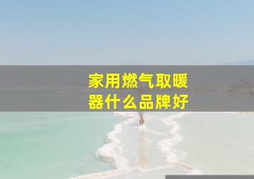 家用燃气取暖器什么品牌好