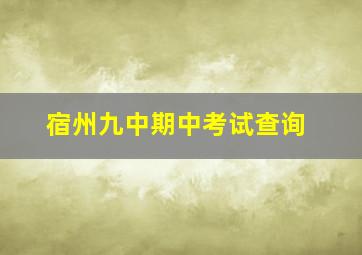 宿州九中期中考试查询