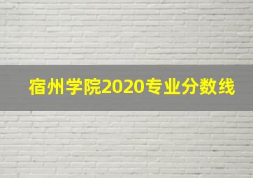 宿州学院2020专业分数线