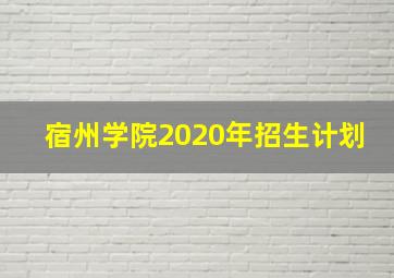 宿州学院2020年招生计划