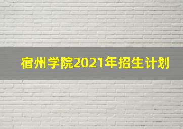 宿州学院2021年招生计划