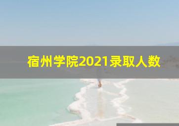 宿州学院2021录取人数